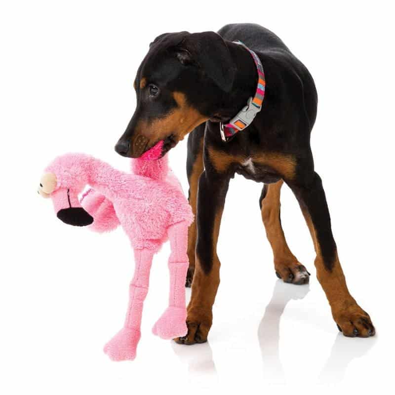 jouet incassable pour chien