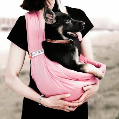 porte bébé ventral pour chien