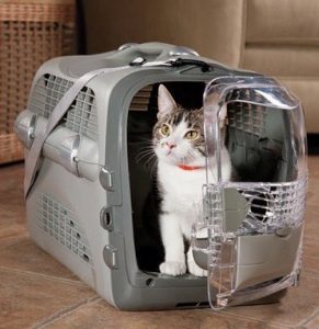 C'vos animaux - Choisir une boîte de transport pour chat 